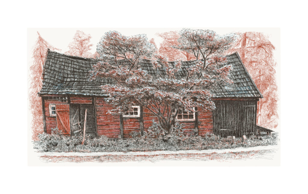 woodhouse2